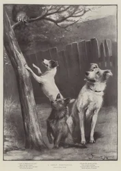 Een grote verleiding